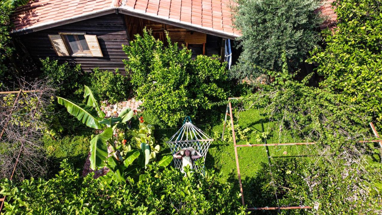 Lemon Garden Lodge Чирали Екстериор снимка