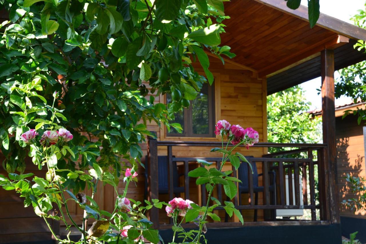 Lemon Garden Lodge Чирали Екстериор снимка